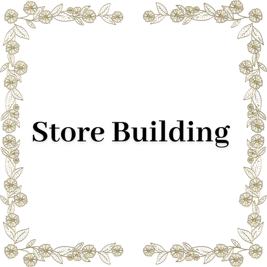 Shopify Store/Website Building Service